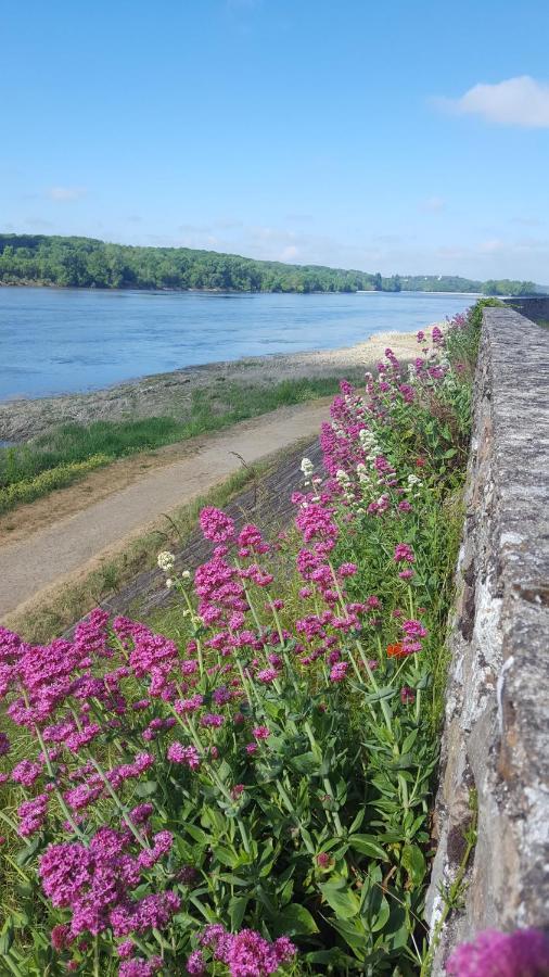 Le Cosy Loire Appart Les Rosiers Exterior photo